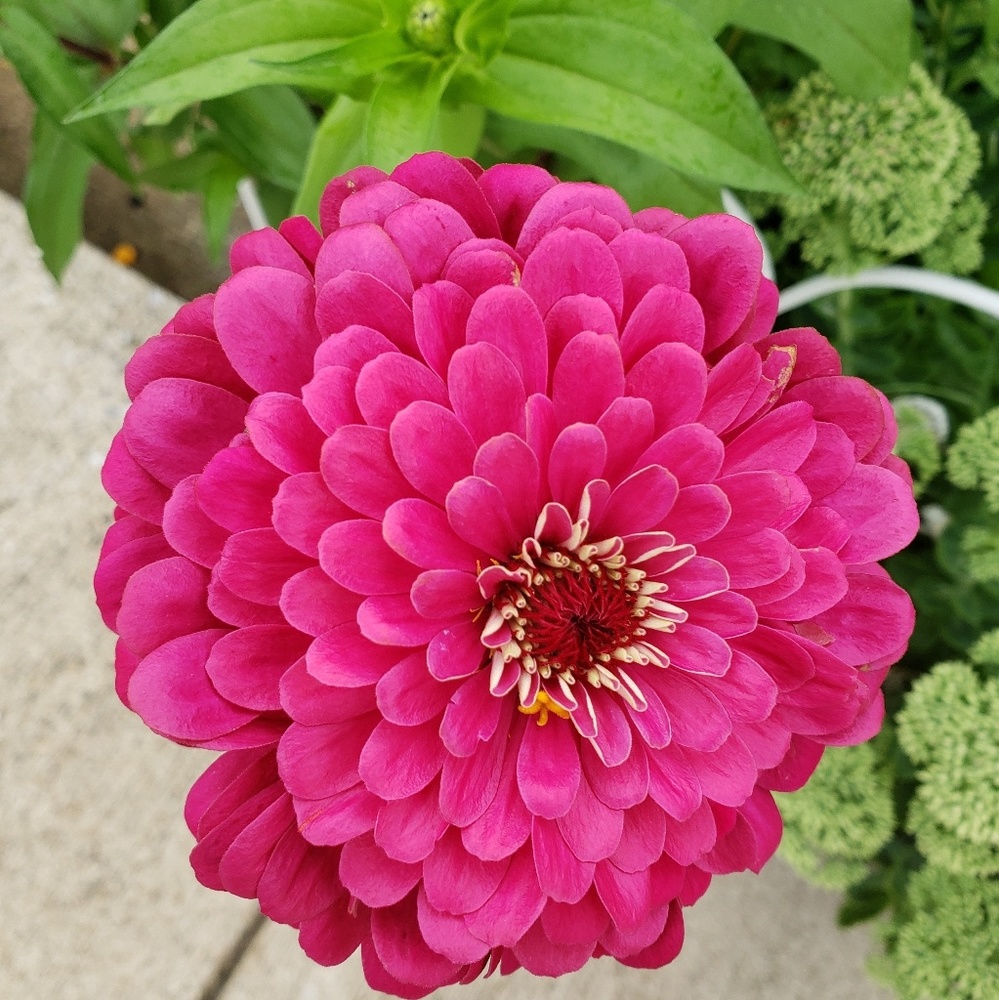 Meet your Posher, Lori